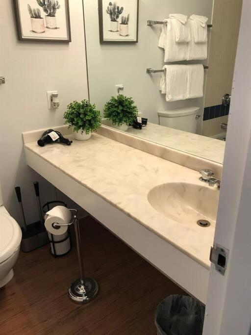 Cute Lower Level Cedar With Balcony & Views! Apartment Laconia